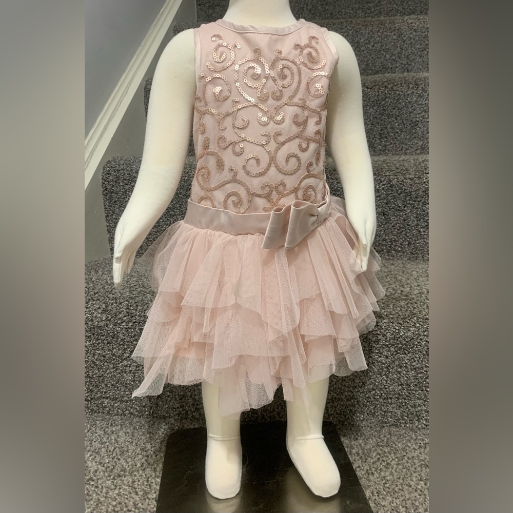 Biscotti Baby Girls Fancy Dress size 12 months